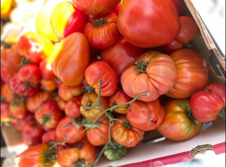 New for 2026 — Chicago Tomato Man